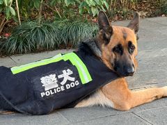 -杭州半山国家森林公园