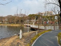-新江湾城公园