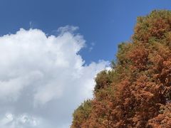 -捞渔河湿地公园