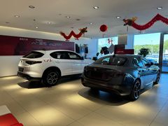 -上海保利玛莎拉蒂和阿尔法罗密欧(华翔路店)