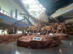 -安徽省地质博物馆