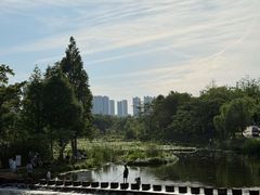 -洋湖国家湿地公园