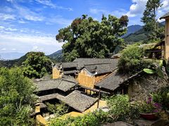 -杨家堂村