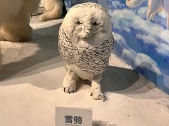 -陕西自然博物馆