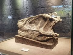 -自贡恐龙博物馆