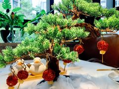 贵妃芝士球-陶苏·品味融合川菜(龙湖源著天街店)