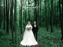 -芭莎视觉婚纱摄影(花溪店)