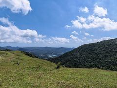 -大姆山草场