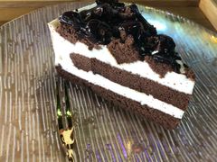 -Husky Go! 哈士奇体验馆·宠物咖啡厅狗咖