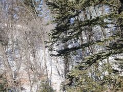 -长白山万达国际滑雪场