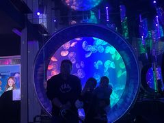 -成都浩海立方海洋公园