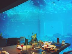 景观位-海棠湾洲际-涛·海底餐厅·美人鱼·自助餐·海底隧道