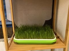 -竹鲜笙全竹宴(国色天香店)