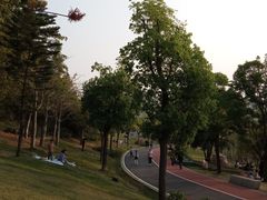 -牛岗山公园