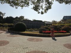 -嘉定紫藤园
