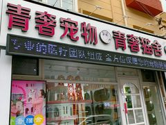 -青奢宠物·青奢猫舍