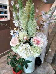 -佐登妮丝美容SPA生活馆