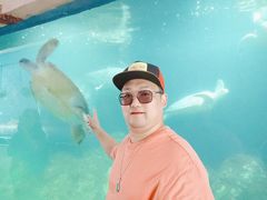 -广东惠东海龟国家级自然保护区