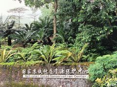 -深圳仙湖植物园