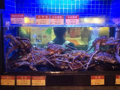 -陶陶居海鲜酒家(新马路店)