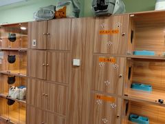 -猫十亿·布偶金渐层·曼基康矮脚猫舍(青年路店)