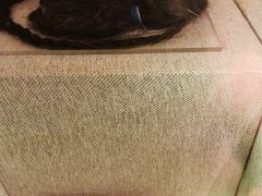 -上海孙中山故居纪念馆