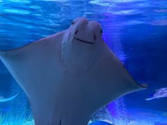 -沈阳海洋探索中心