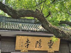 -灵隐飞来峰景区