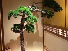 -揽季锅物会.福建黄鱼.海鲜姿造(五四路店)