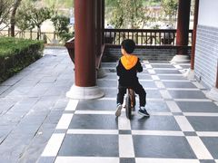 -南汇桃花村