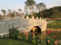 -王借岗森林公园