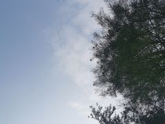 -鹤之洲湿地公园