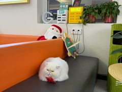 -全心全意动物诊疗中心医院(北苑店)