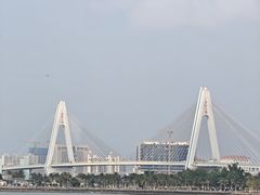 -万绿园