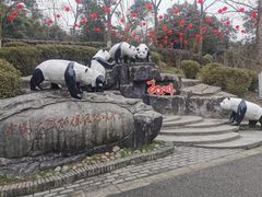 -都江堰中华大熊猫苑