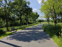 -东郊湿地公园