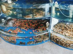 -蓝珊甄选海鲜自助·火锅大排档(近阿那亚店)