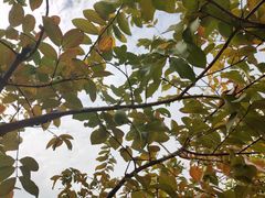 -中国移动南方基地