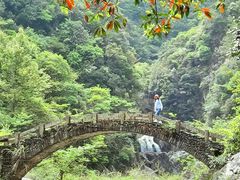 -龙湾潭国家森林公园