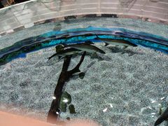 -北京海洋馆