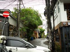 -乌布德传统市场