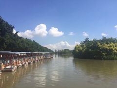 -大湾区中央湿地公园