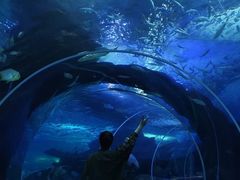 -多彩贵州城极地海洋世界