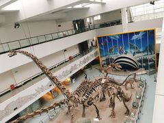 -中国地质大学逸夫博物馆