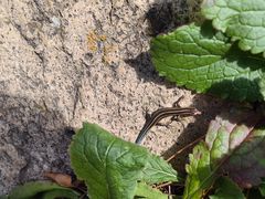 -天津盘山风景名胜区