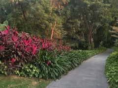 -厦门悦华酒店