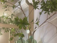 -青曼SPA·按摩·采耳·足道(龙之梦店)