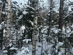 -峡谷浮石林景区