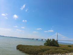 -芒洲湿地公园