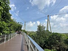 -新加坡飞禽公园